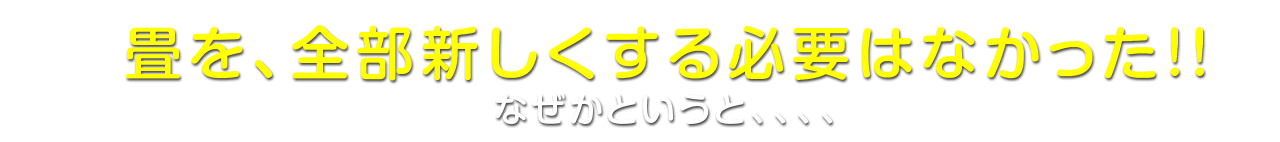 畳を全部新しくする必要はなかった！